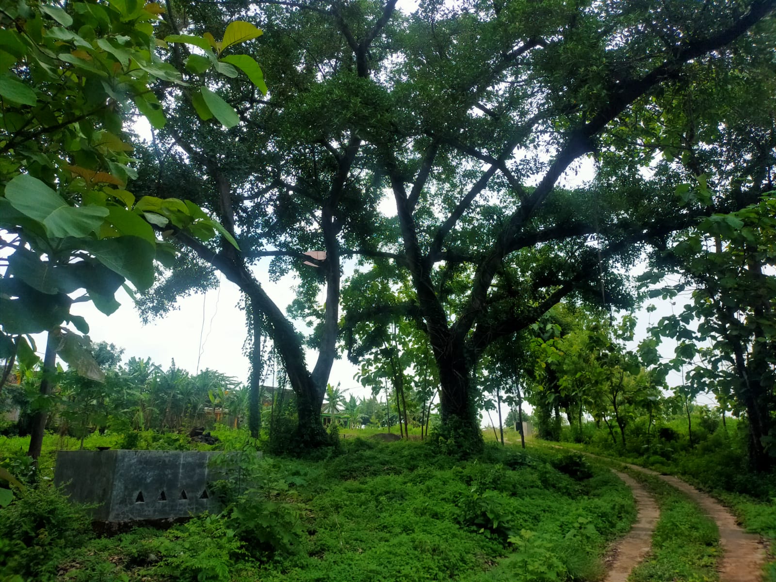 LOKASI PUNDEN 
